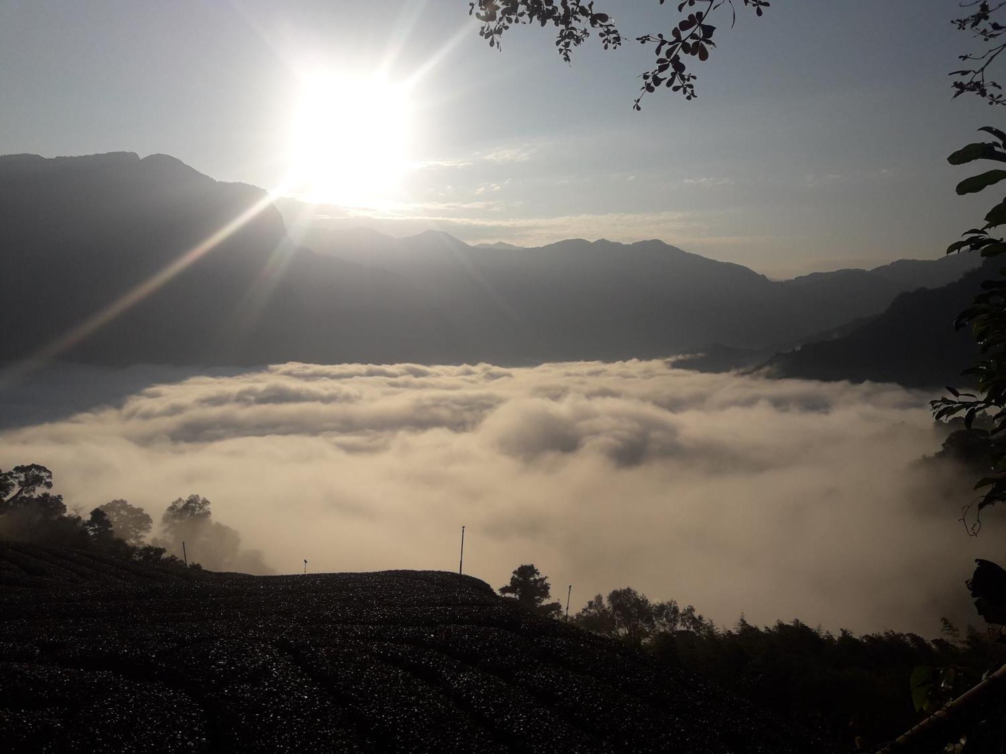 Alishan Shanyunhua B&B Homestay Meishan Εξωτερικό φωτογραφία